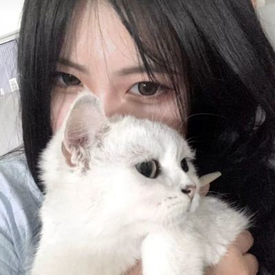 2025新奧馬資料官方版