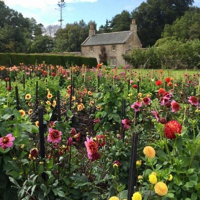 黃片app下載的玩法講解視頻