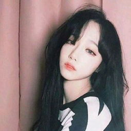 kj33免費資料大全截圖