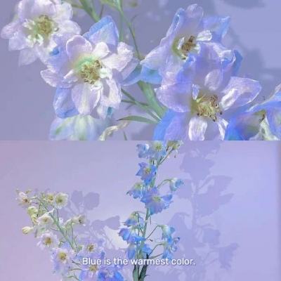 香水純ssis-415中字截圖