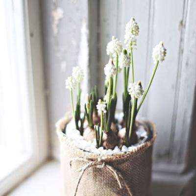 最新版下載missav軟件下載app截圖