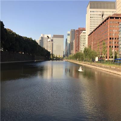 c7娛樂(lè)下載官網(wǎng)