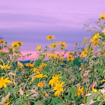 十八摸黃色軟件下載-十八摸黃色逼站下載截圖