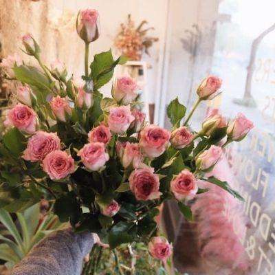 49629瀏覽器811截圖