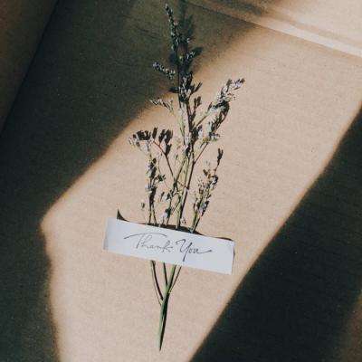 四九圖庫香港資料 圖標