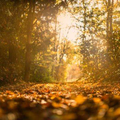 Sexyhub免費 screenshot 5