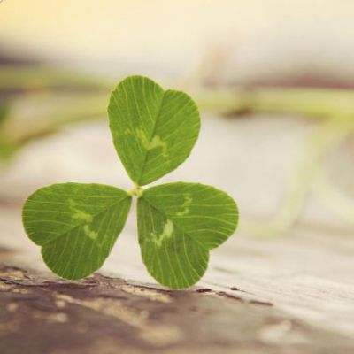 亞星yaxing手機版登錄入口截圖