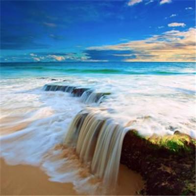 四肖八碼精準資料期期準截圖