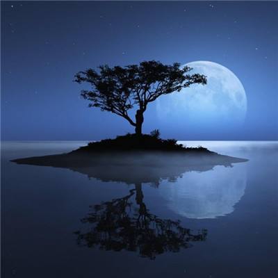 金光佛73049onm screenshot 7