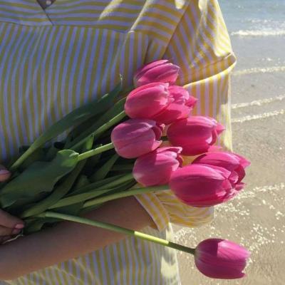 2021年馬會正版香港資料大全截圖