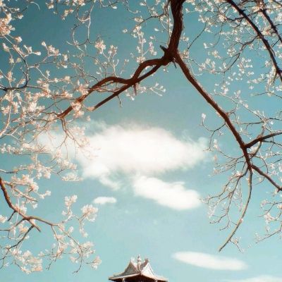 4o0500好彩堂玄機最新版下載 screenshot 3