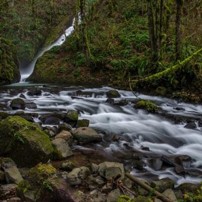 招財貓游戲app下載 screenshot 6