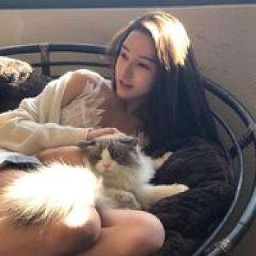 香港全年資料免費 screenshot 2