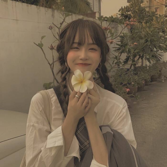 二四六玄機(jī)資料圖 圖標(biāo)